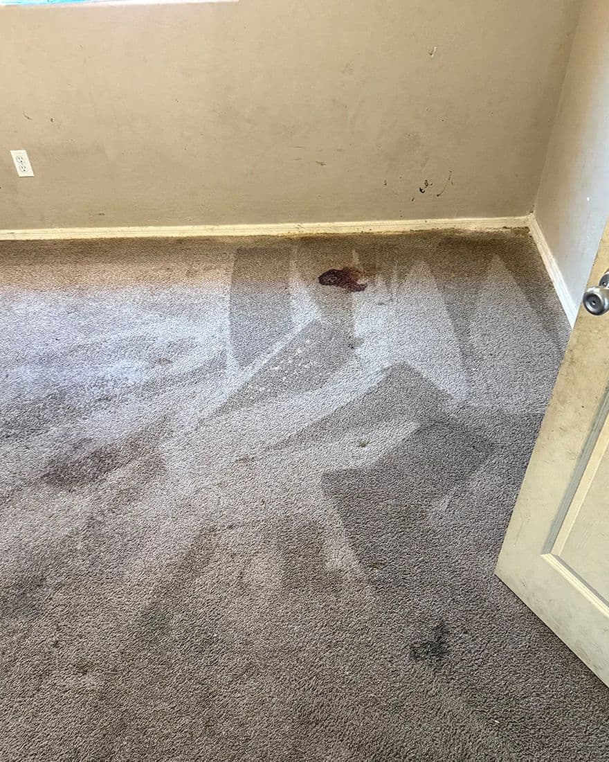Bedroom traffic lanes, before cleaning