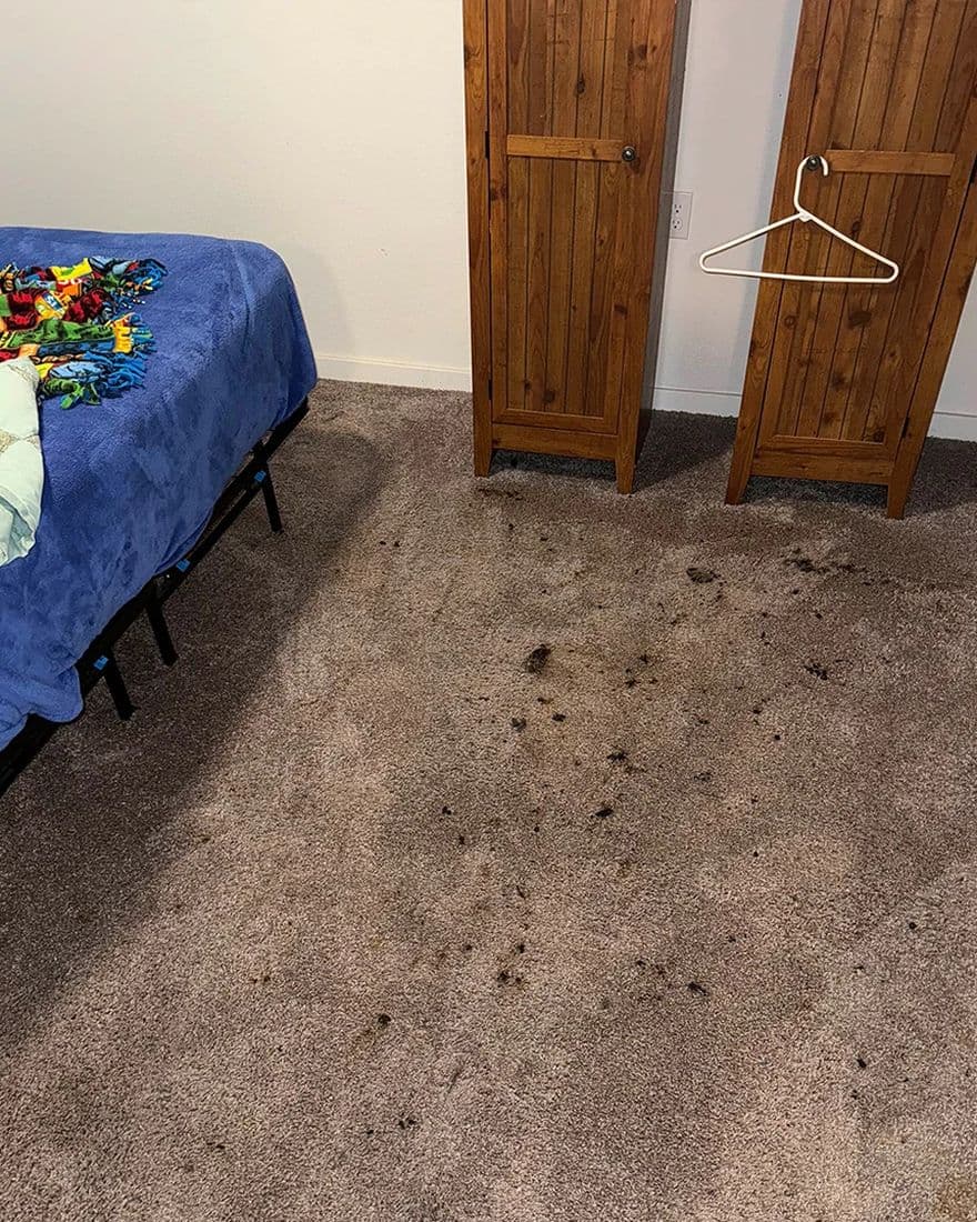 Bedroom spots, before cleaning